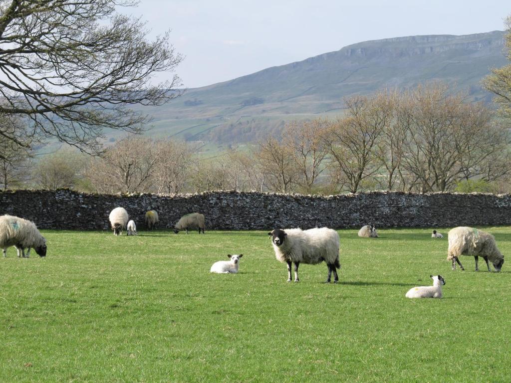 Thornton Lodge Aysgarth Bilik gambar